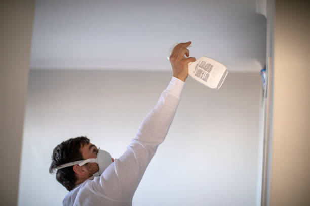 Best Affordable Mold Removal  in Brockton, MA