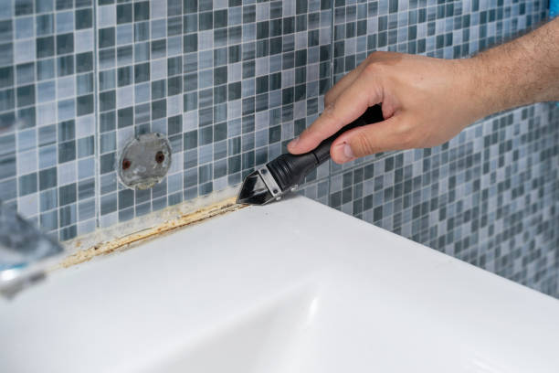 Reliable Brockton, MA Mold Removal Solutions
